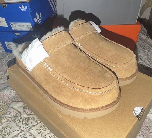 Zoccolo ugg goldenstar - goldenstar, evelina